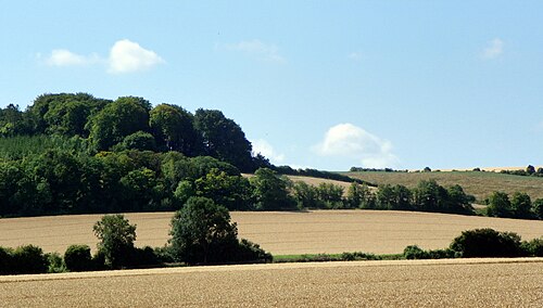 County of Hertfordshire